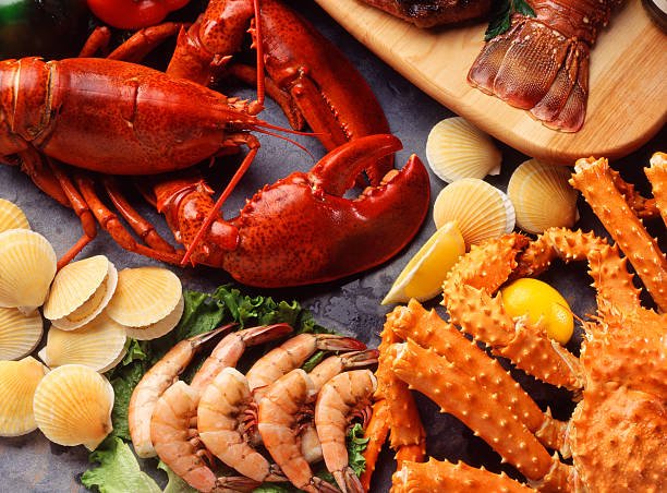 What Are the Differences Between Farmed and Wild-Caught Seafood?