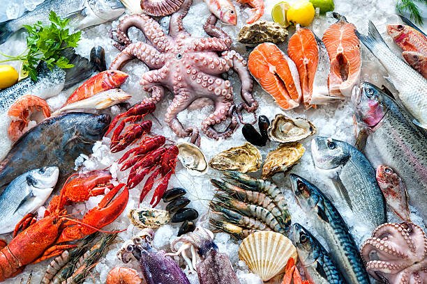 How to Properly Store Seafood to Maintain Freshness?