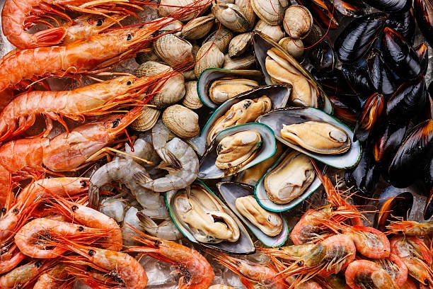 How to Properly Store Seafood to Maintain Freshness?
